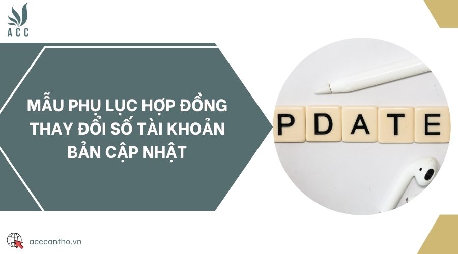 Mẫu phụ lục hợp đồng thay đổi số tài khoản bản cập nhật