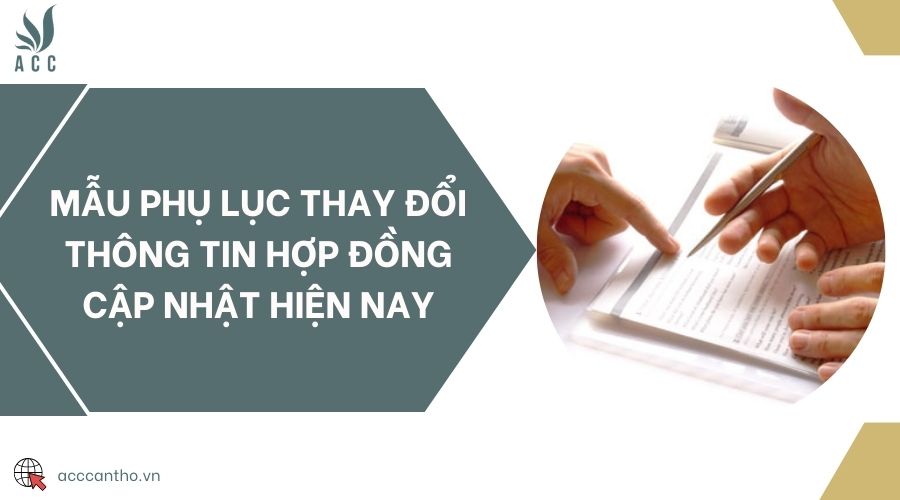 Mẫu phụ lục thay đổi thông tin hợp đồng cập nhật hiện nay