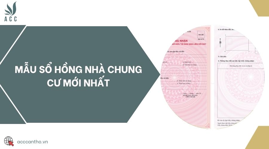 Mẫu sổ hồng nhà chung cư mới nhất