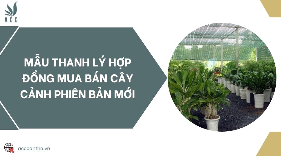 Mẫu thanh lý hợp đồng mua bán cây cảnh phiên bản mới