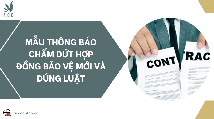 Mẫu thông báo chấm dứt hợp đồng bảo vệ mới và đúng luật