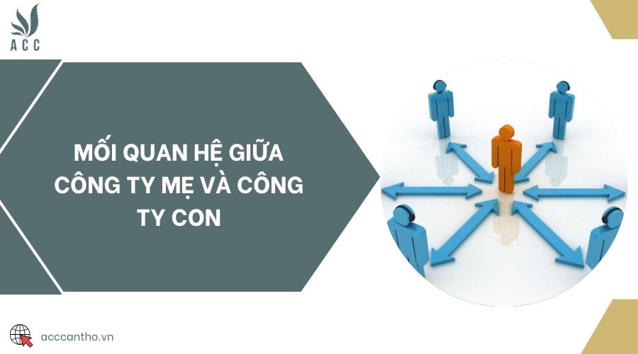 Mối quan hệ giữa công ty mẹ và công ty con