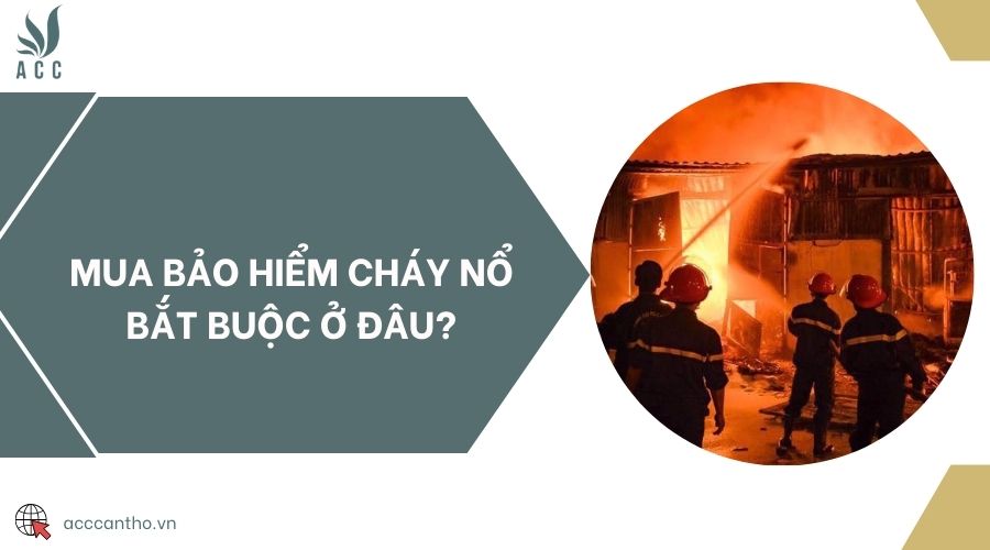 Mua bảo hiểm cháy nổ bắt buộc ở đâu?