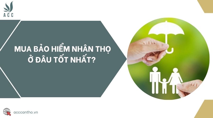 Mua bảo hiểm nhân thọ ở đâu tốt nhất? 