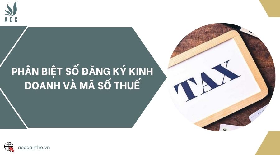 Phân biệt số đăng ký fv888 và mã số thuế