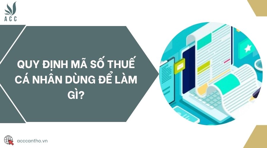 Quy định mã số thuế cá nhân dùng để làm gì?