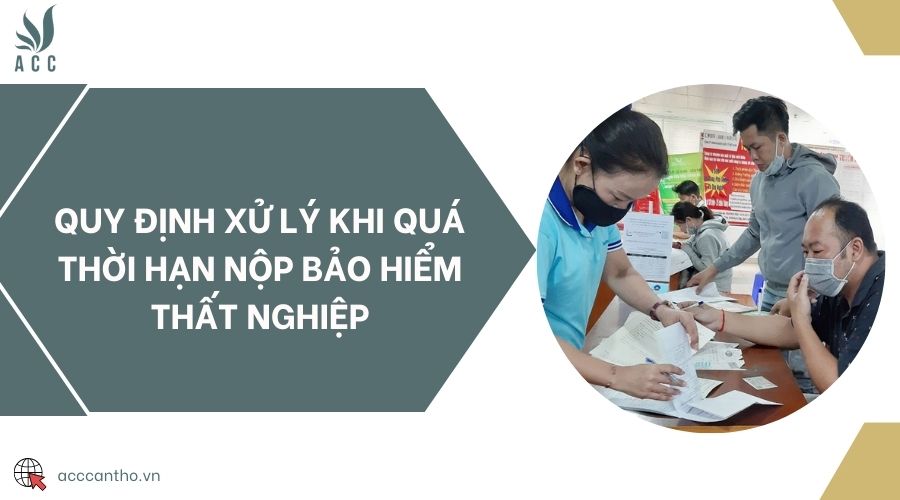 Quy định xử lý khi quá thời hạn nộp bảo hiểm thất nghiệp