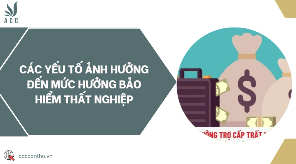 Các yếu tố ảnh hưởng đến mức hưởng bảo hiểm thất nghiệp