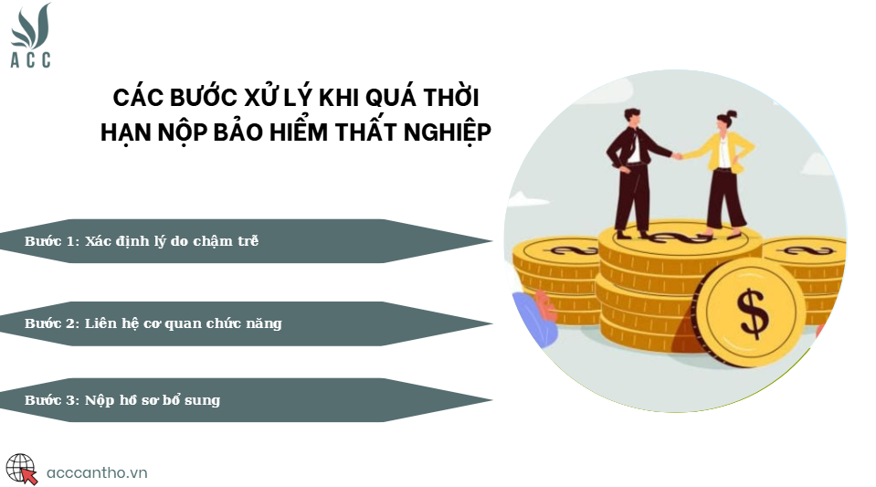 Các bước xử lý khi quá thời hạn nộp bảo hiểm thất nghiệp