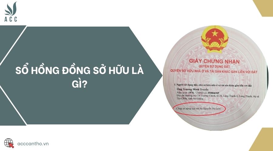 Sổ hồng đồng sở hữu là gì?