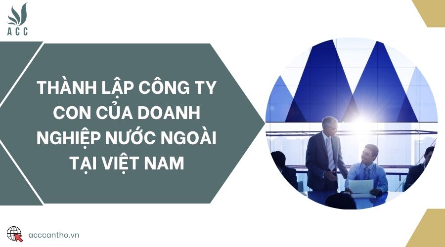 fv88 tài xỉu công ty con của doanh nghiệp nước ngoài tại Việt Nam