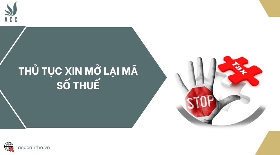 Thủ tục xin mở lại mã số thuế