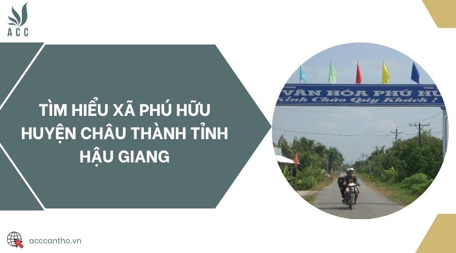 Tìm hiểu Xã Phú Hữu Huyện Châu Thành Tỉnh Hậu Giang