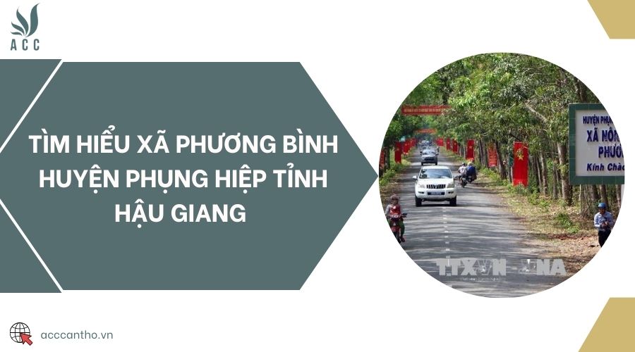Tìm hiểu Xã Phương Bình Huyện Phụng Hiệp Tỉnh Hậu Giang 