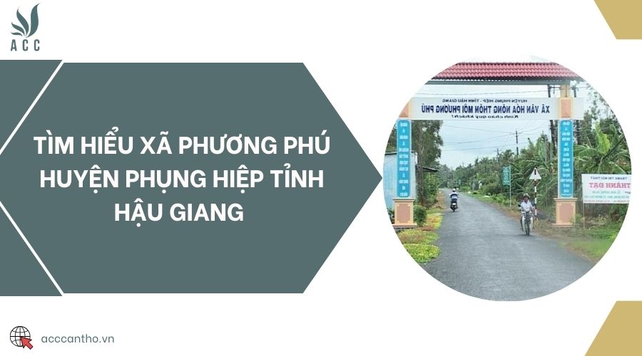 Tìm hiểu Xã Phương Phú Huyện Phụng Hiệp Tỉnh Hậu Giang 