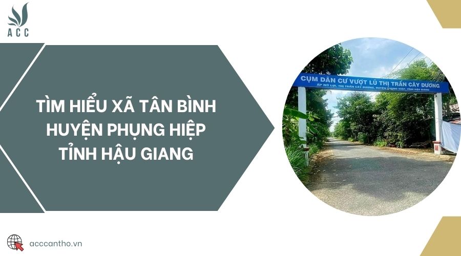 Tìm hiểu Xã Tân Bình Huyện Phụng Hiệp Tỉnh Hậu Giang