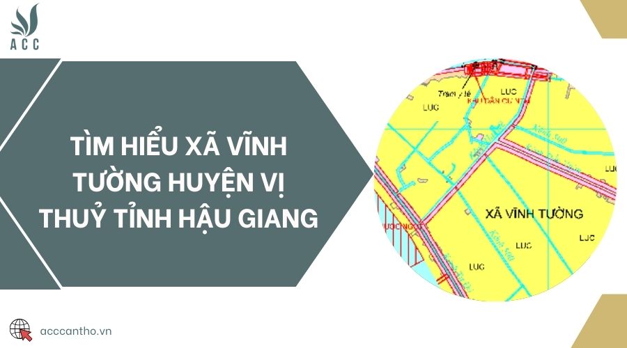 Tìm hiểu Xã Vĩnh Tường Huyện Vị Thuỷ Tỉnh Hậu Giang