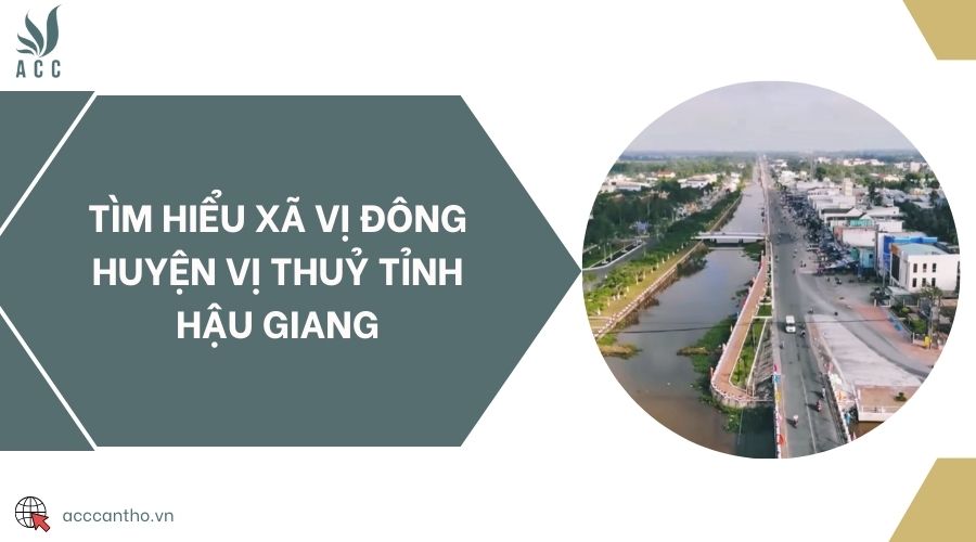 Tìm hiểu xã Vị Đông huyện Vị Thuỷ tỉnh Hậu Giang
