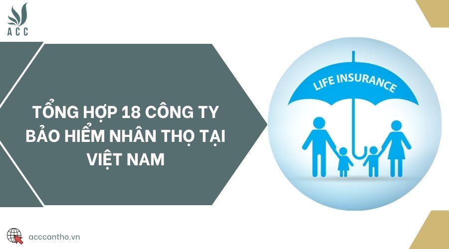 Tổng hợp 18 công ty bảo hiểm nhân thọ tại Việt Nam