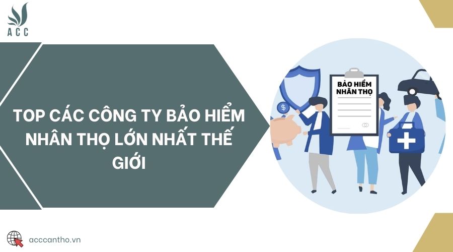 Top các công ty bảo hiểm nhân thọ lớn nhất thế giới