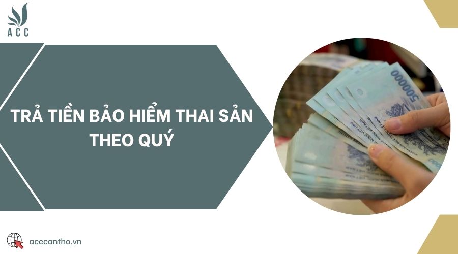 Trả tiền bảo hiểm thai sản theo quý