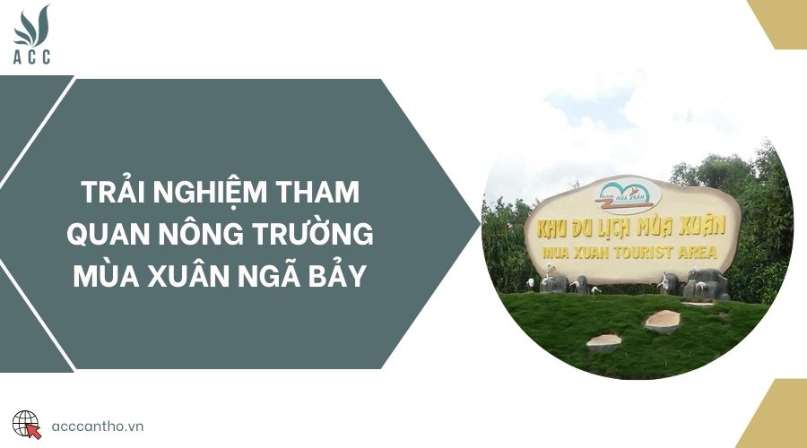 Trải nghiệm tham quan nông trường Mùa Xuân Ngã Bảy