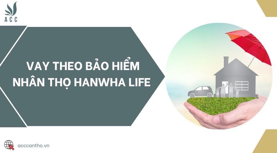 Vay theo bảo hiểm nhân thọ Hanwha Life 