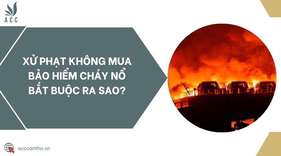 Xử phạt không mua bảo hiểm cháy nổ bắt buộc ra sao?