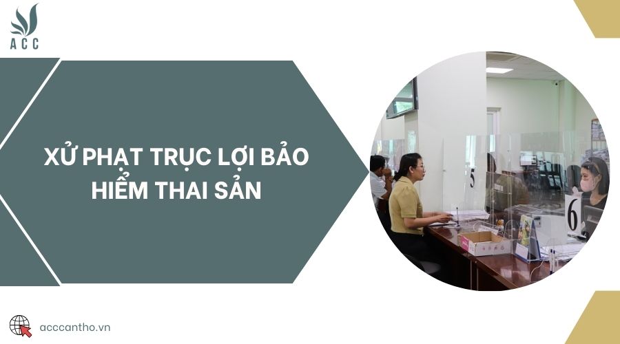 Xử phạt trục lợi bảo hiểm thai sản