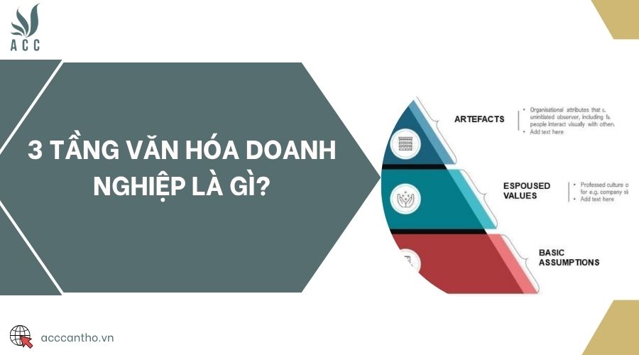 3 tầng văn hóa doanh nghiệp là gì?