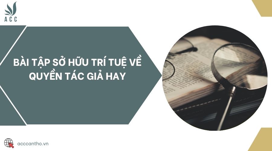 Bài tập sở hữu trí tuệ về quyền tác giả hay