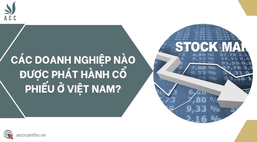 Các doanh nghiệp nào được phát hành cổ phiếu ở Việt Nam?