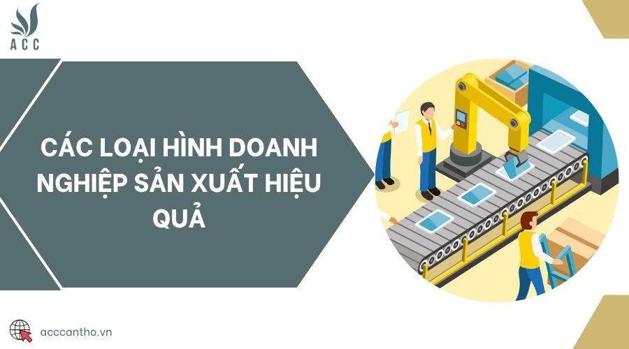 Các loại hình doanh nghiệp sản xuất hiệu quả