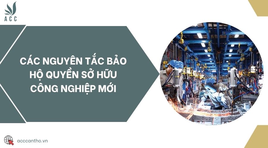 Các nguyên tắc bảo hộ quyền sở hữu công nghiệp mới