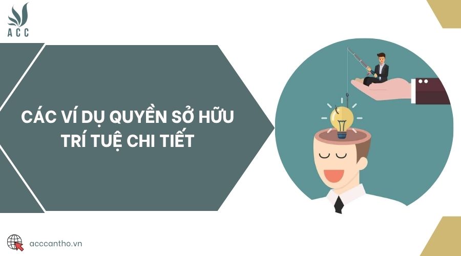 Các ví dụ quyền sở hữu trí tuệ chi tiết