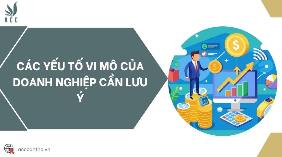 Các yếu tố vi mô của doanh nghiệp cần lưu ý