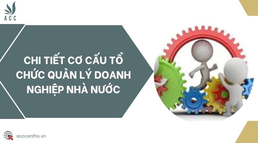 Chi tiết cơ cấu tổ chức quản lý doanh nghiệp nhà nước