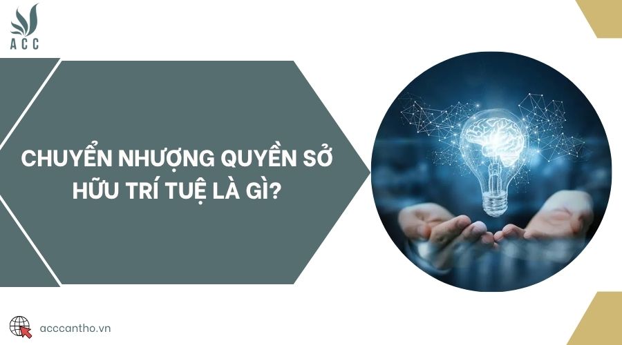 Chuyển nhượng quyền sở hữu trí tuệ là gì?