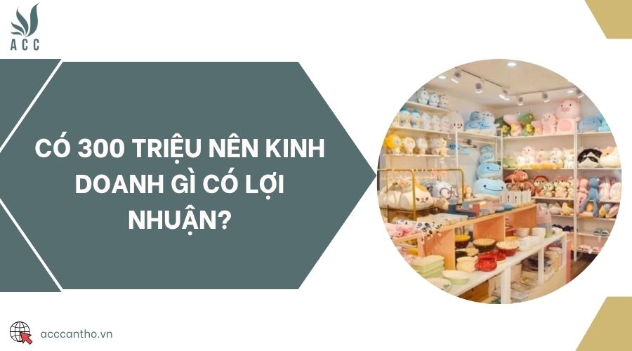 Có 300 triệu nên fv888 gì có lợi nhuận?