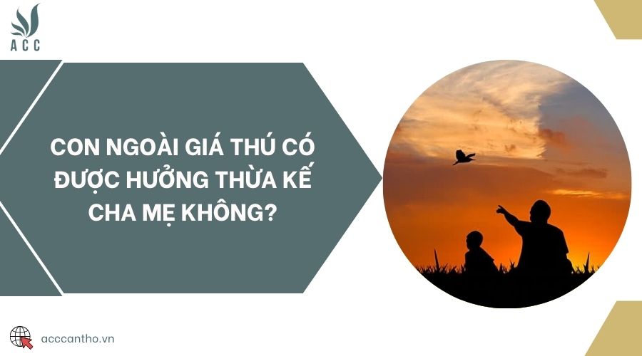 Con ngoài giá thú có được hưởng thừa kế cha mẹ không?