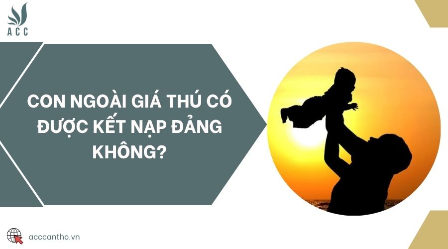 Con ngoài giá thú có được kết nạp Đảng không?