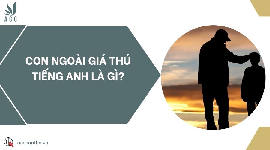 Con ngoài giá thú tiếng Anh là gì?