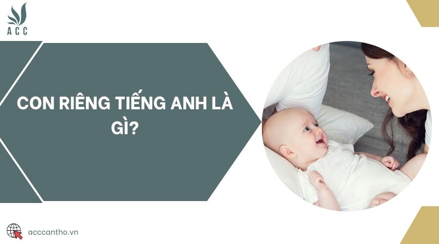 Con riêng tiếng Anh là gì?