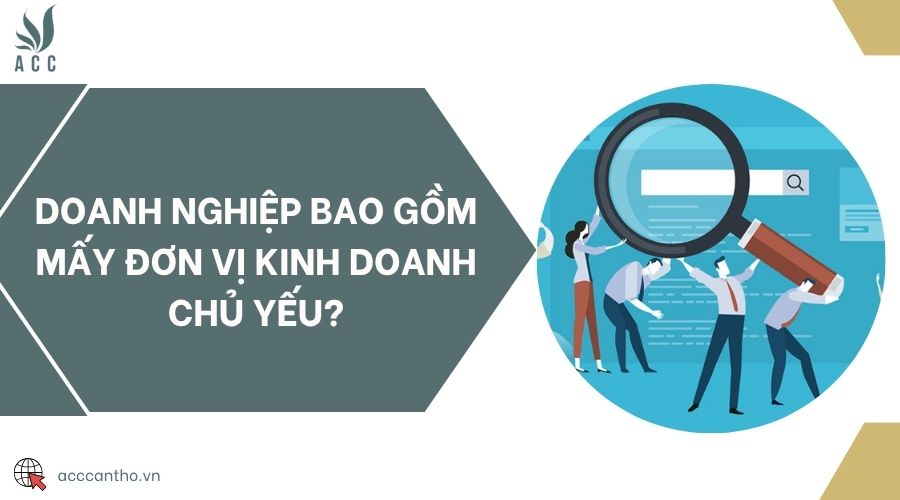 Doanh nghiệp bao gồm mấy đơn vị fv888 chủ yếu?