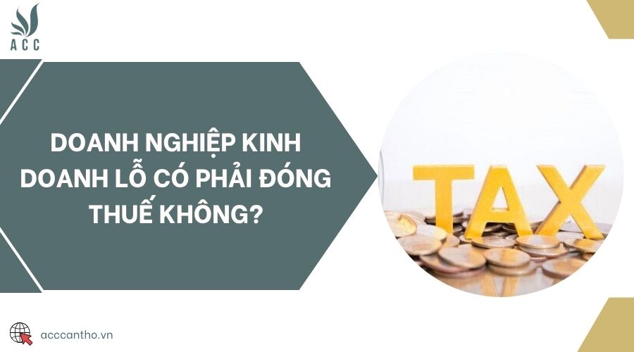 Doanh nghiệp fv888 lỗ có phải đóng thuế không?