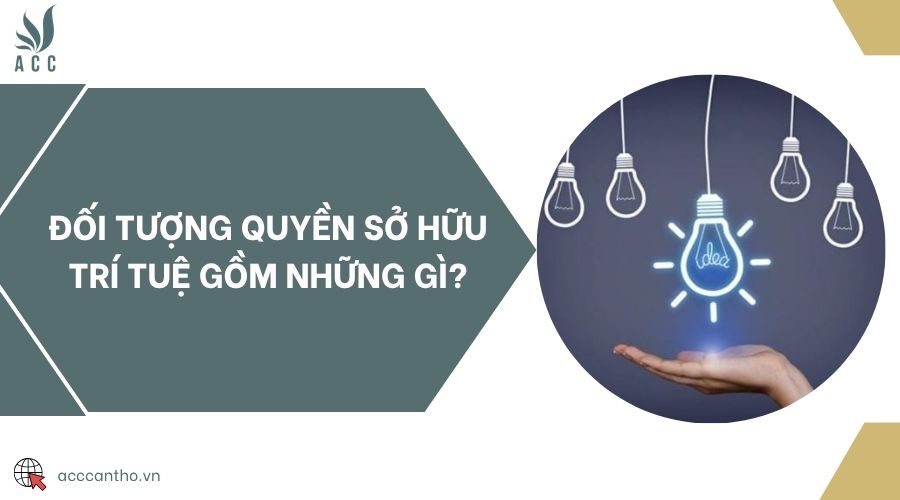 Đối tượng quyền sở hữu trí tuệ gồm những gì?