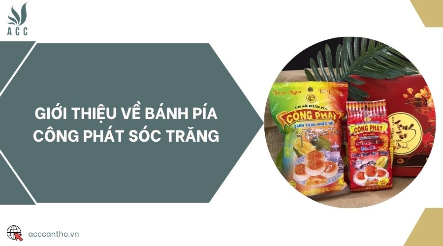 Giới thiệu về bánh pía Công Phát Sóc Trăng