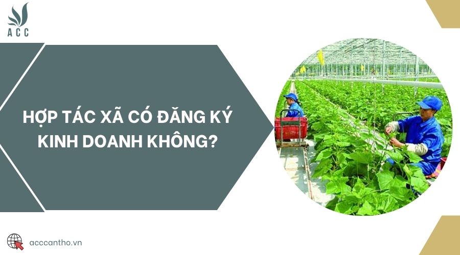 Hợp tác xã có đăng ký fv888 không?