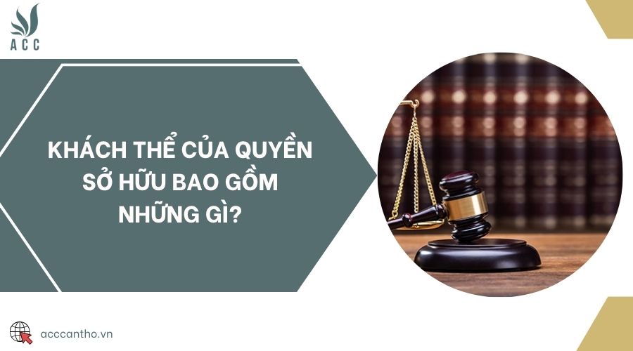Khách thể của quyền sở hữu bao gồm những gì?