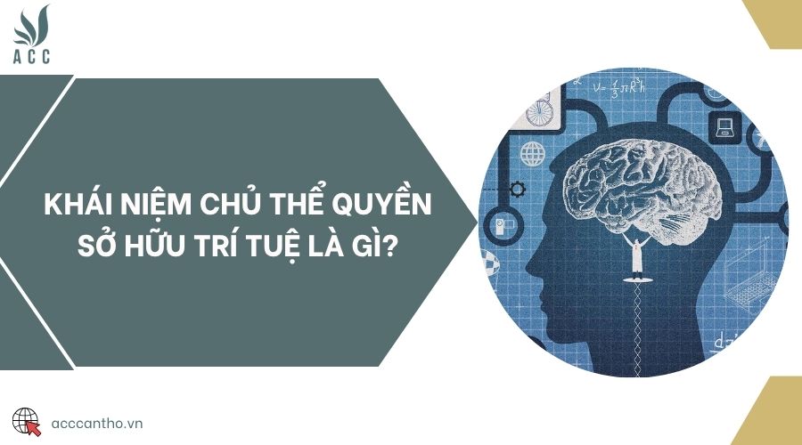 Khái niệm chủ thể quyền sở hữu trí tuệ là gì?
